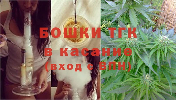 трава Арсеньев